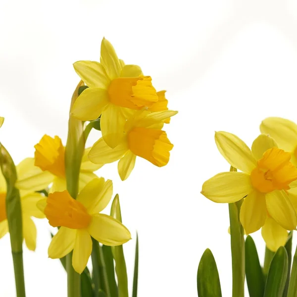 赌博网站捕鱼游戏